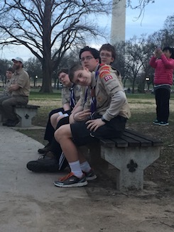 scoutsonbench